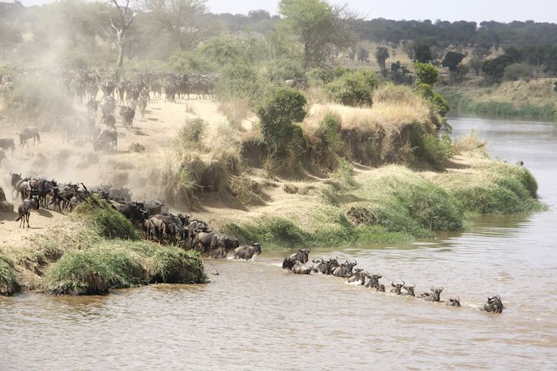 The annual Great Migration, Tanzania