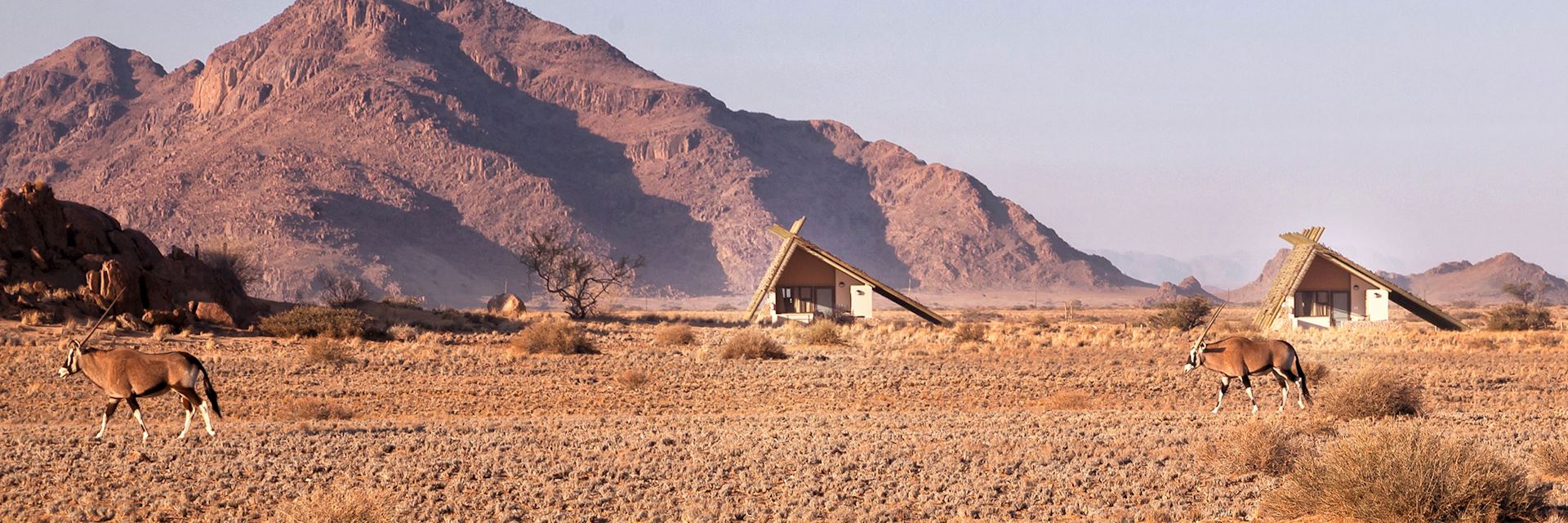 Oryx, Desert Quiver Camp, Namibia