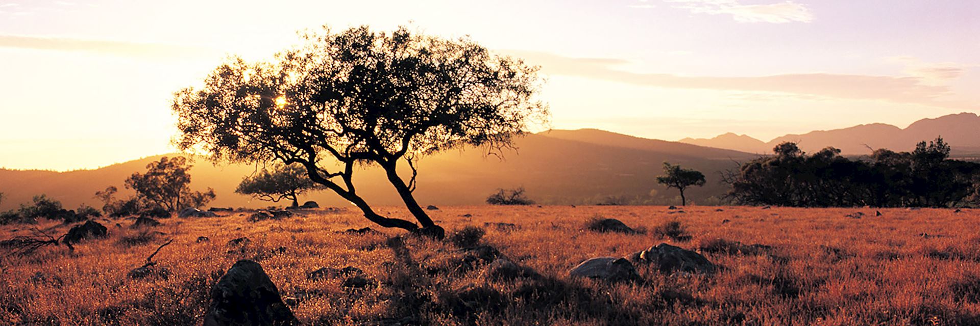 Wilpena Pound Sunset