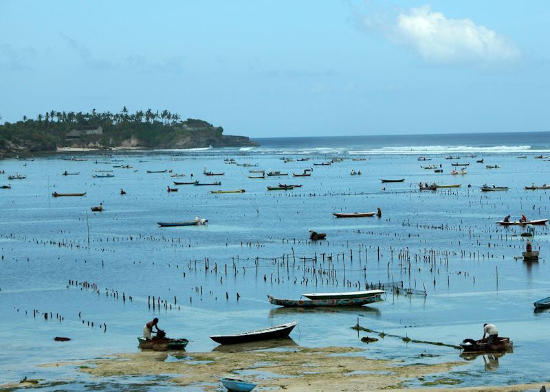 seaweed fisherman Lembongan