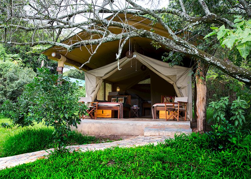 Bogani Cottages and Tented Camp, Kenya