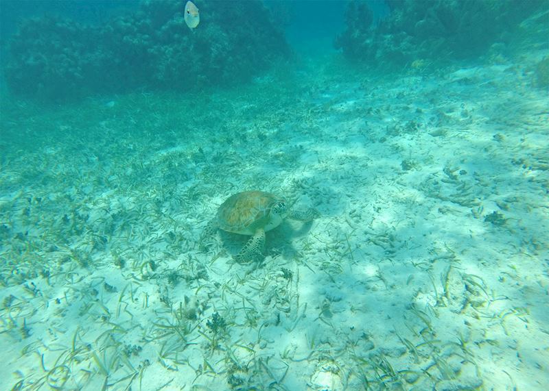 Mexico Rocks