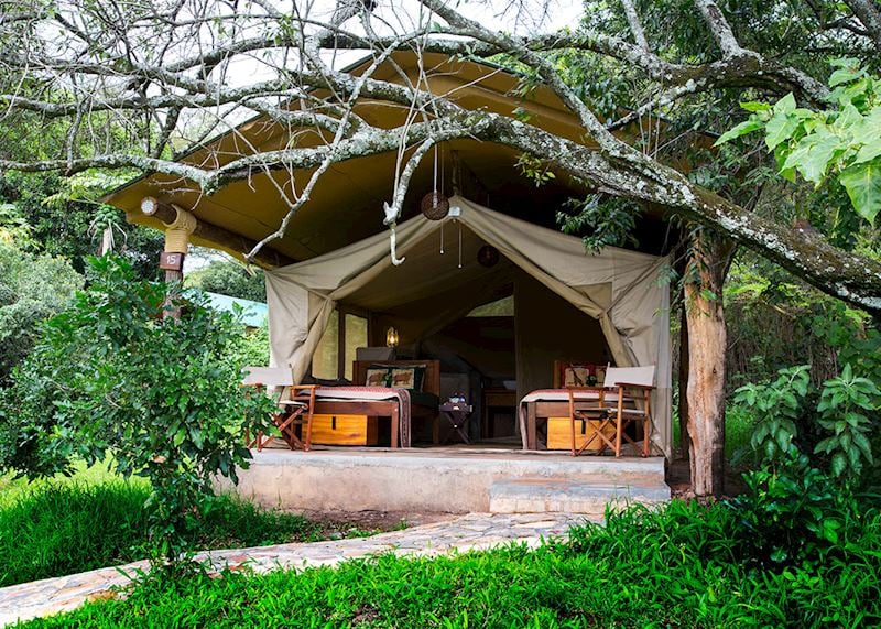 Bogani Cottages, Kenya