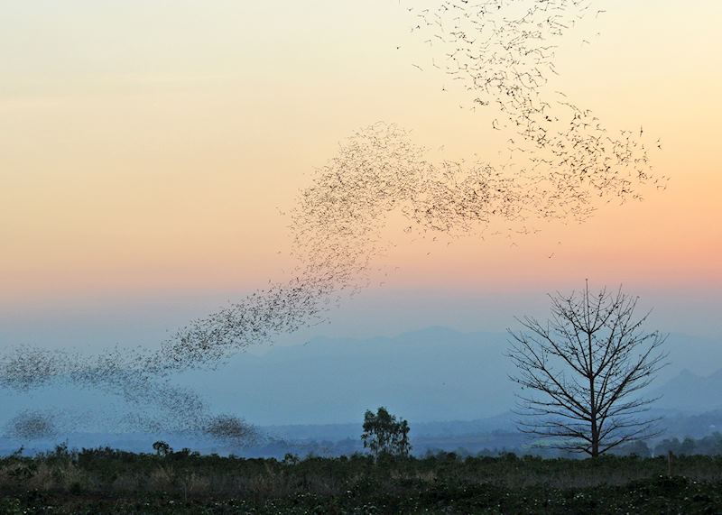Khao Yai National Park