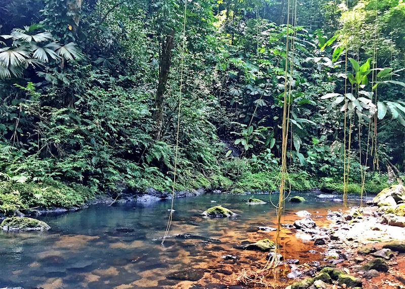 Corcovado National Park