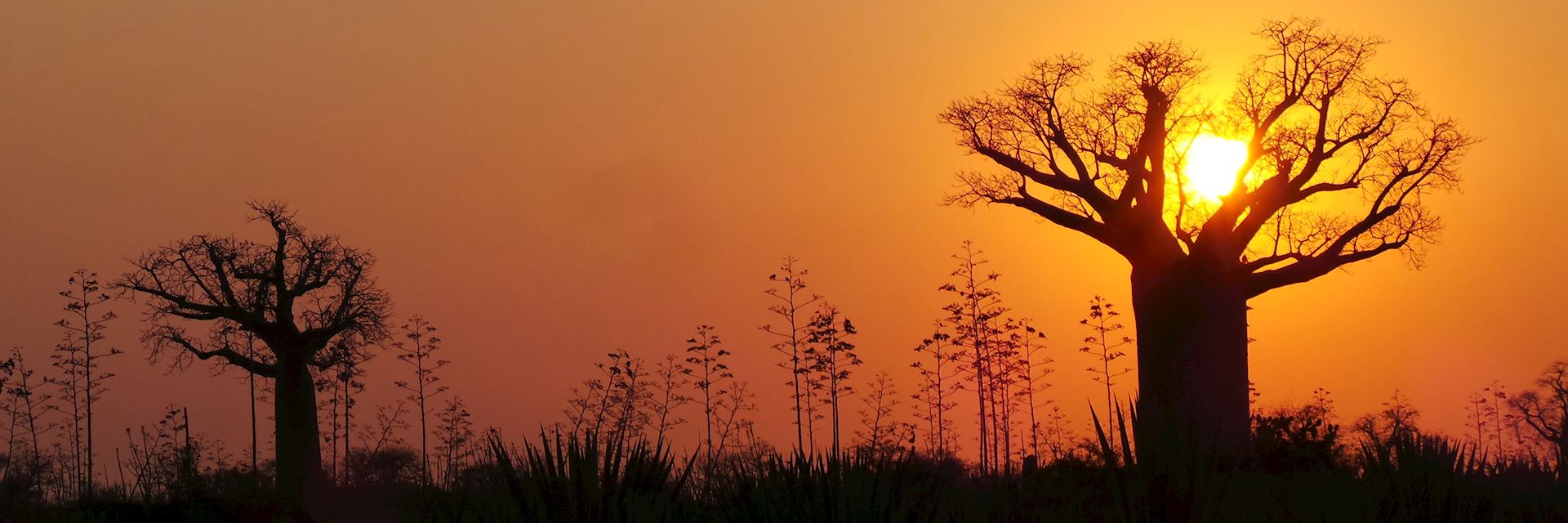 Sunset in Madagascar