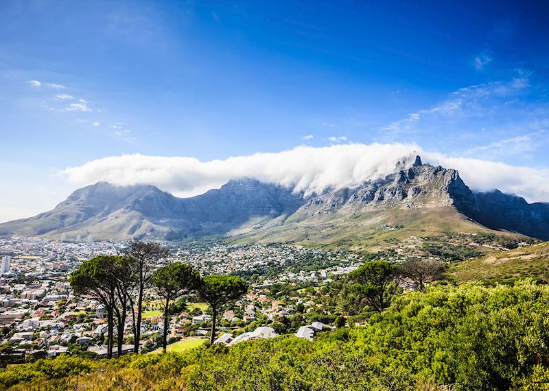 Table Mountain, Cape Town