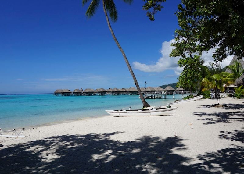 The beach at Sofitel Moorea la Ora Beach Resort, French Polynesia