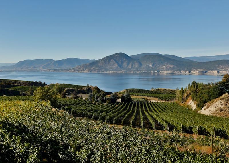 Okanagan Valley vineyards