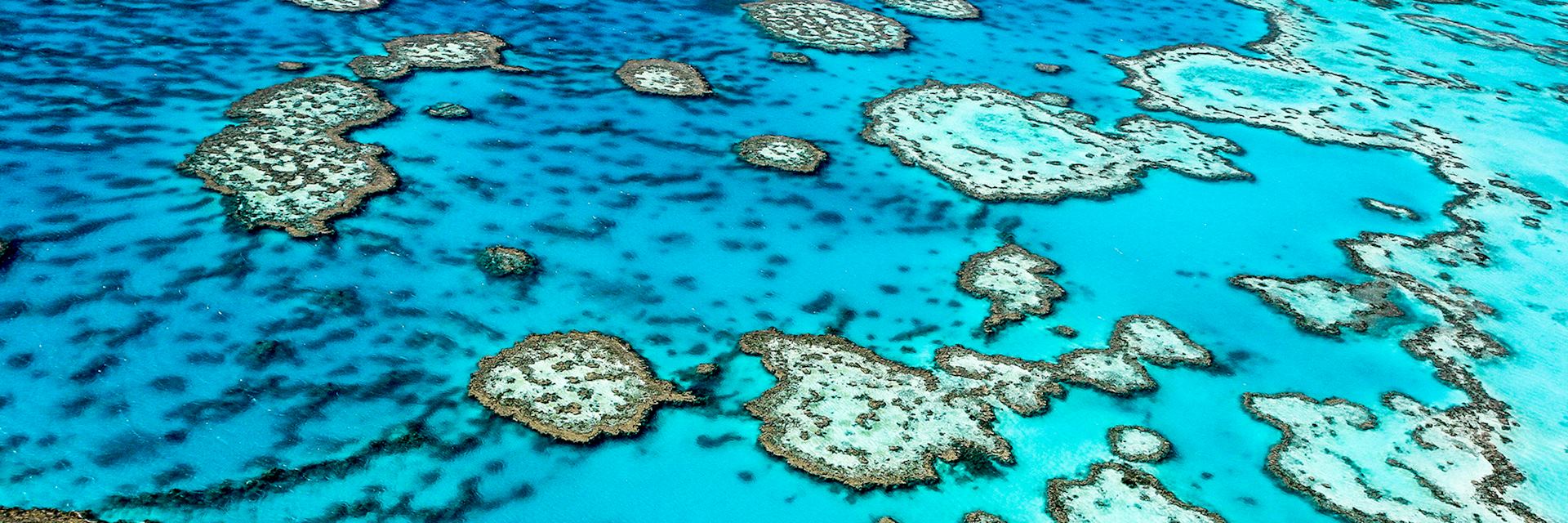 Great Barrier Reef, Australia