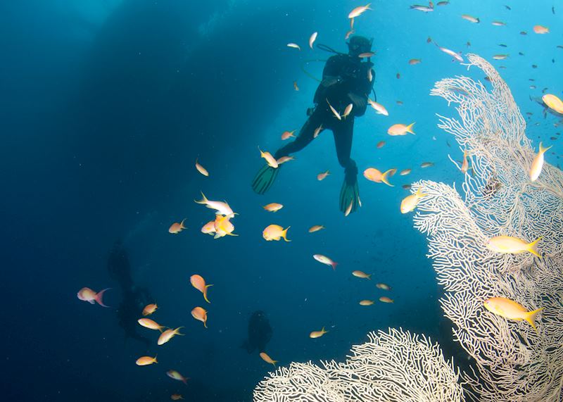 Diver, Australia