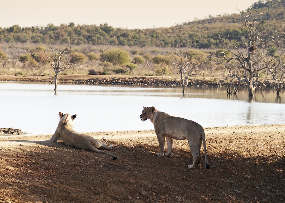 Surprising sides of South Africa | Audley Travel