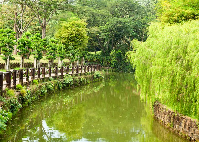 Botanical garden, Kuala Lumpur