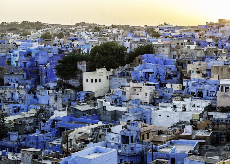 Rooftops of the Blue City, Jodhpur