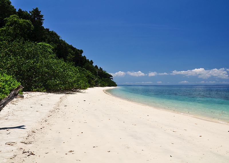 Elephant Beach on Havelock, Andaman & Nicobar Islands, India