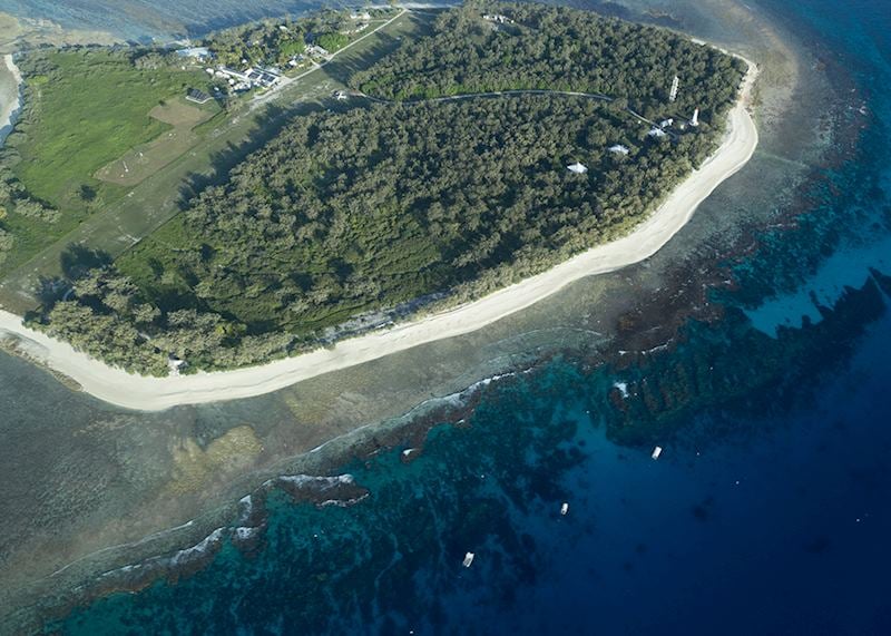 Lady Elliot Island