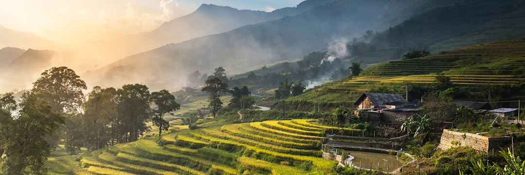 Rice field terraces
