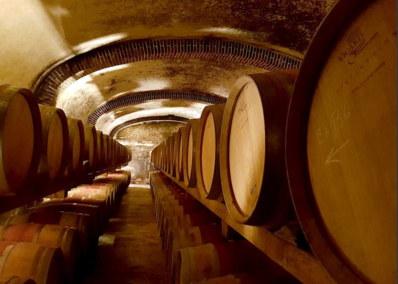 Fèlsina estate, Italy