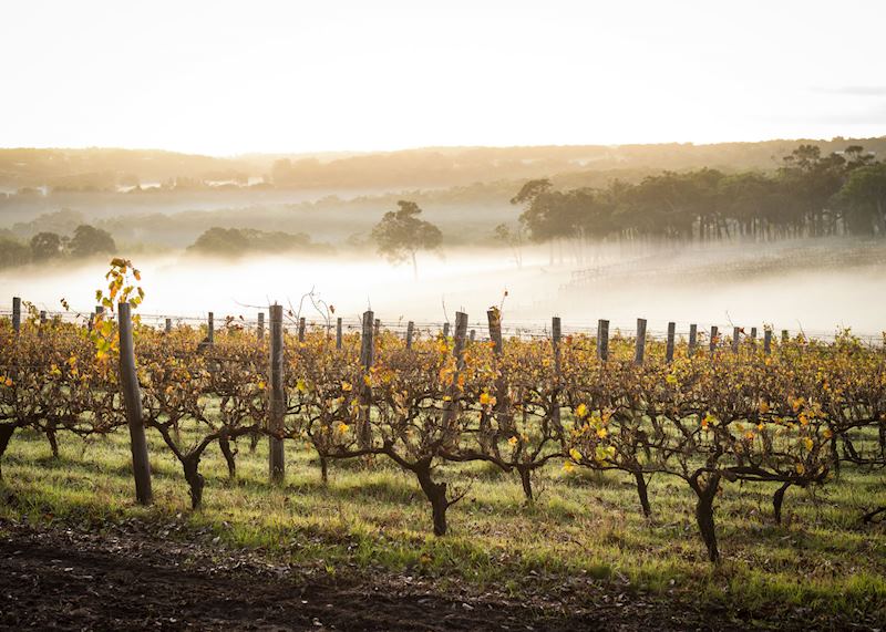 Margaret River wine region