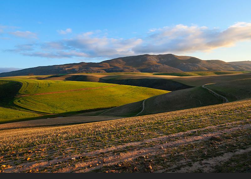 Farmland around Napier, New Zealand