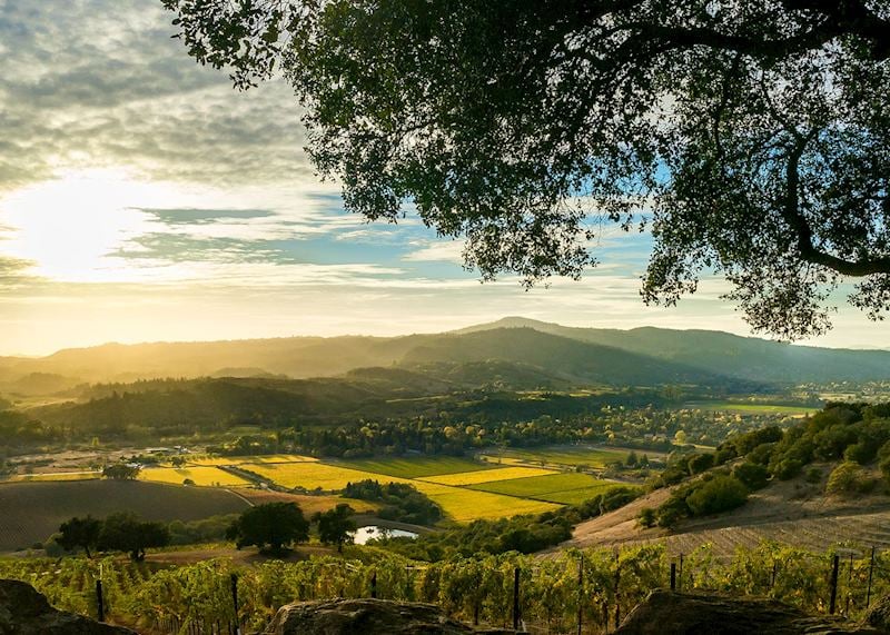 Sonoma Valley, California, USA