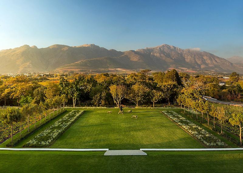 Leeu Estates, Franschhoek, South Africa