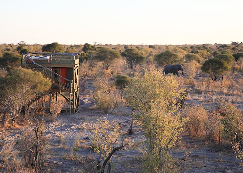 Skybeds, Khwai Concession, Botswana