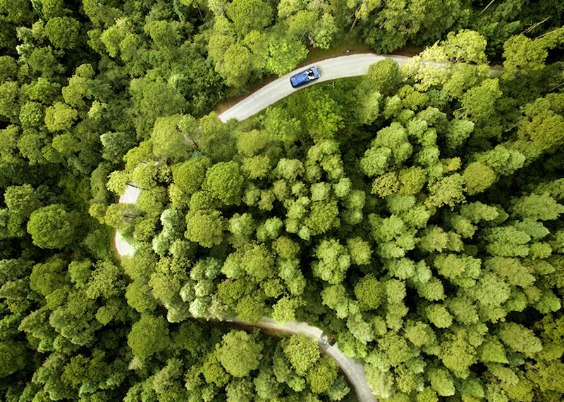 Aerail view of Blue Ridge Parkway