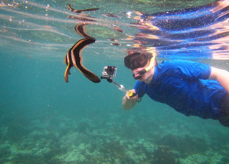 Snorkelling