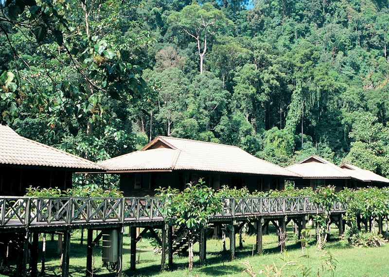 Borneo Rainforest Lodge, Danum Valley