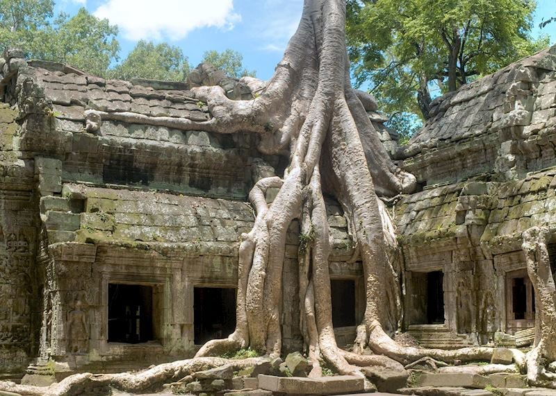 Ta Prohm, Siem Reap