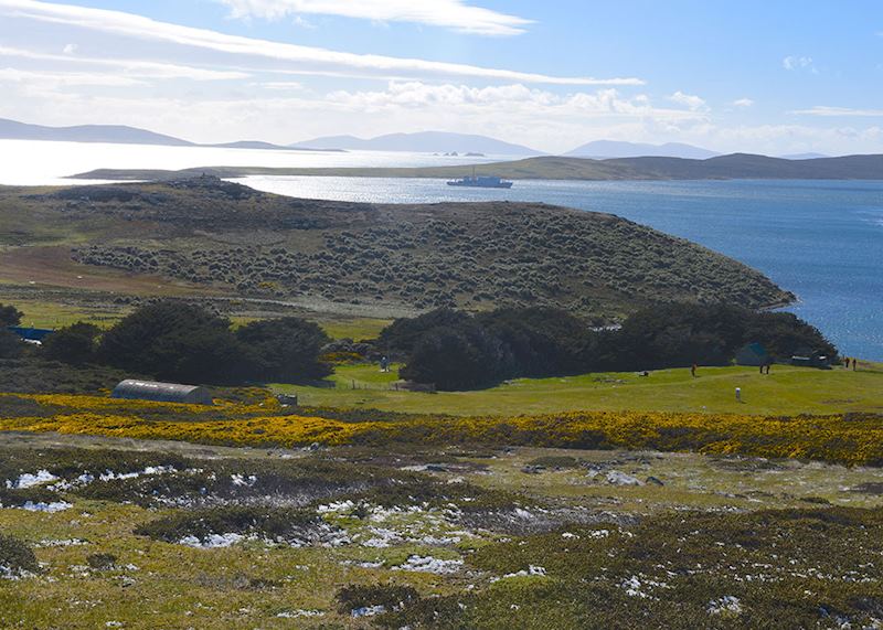 West Point Island, Falklands