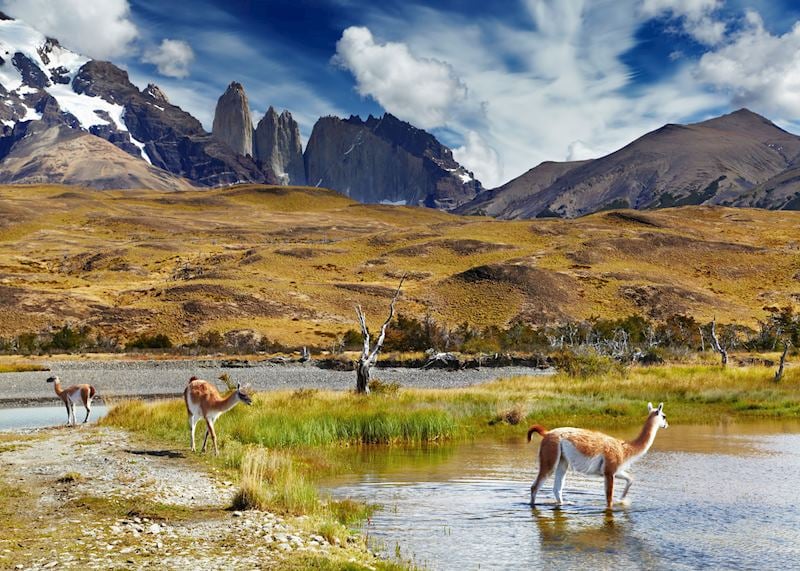 Torres del Paine National Park, Chile