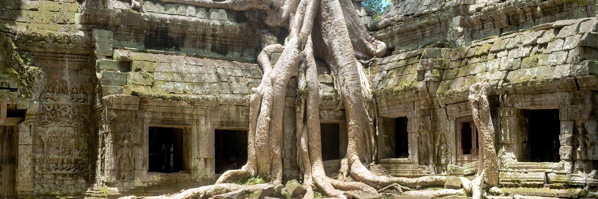 Ta Prohm, Cambodia