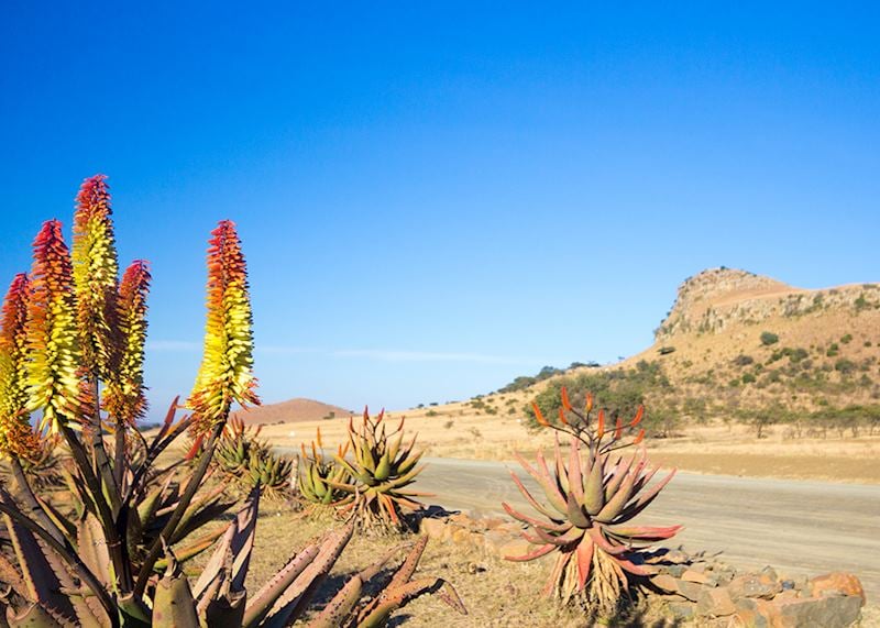 KwaZulu-Natal