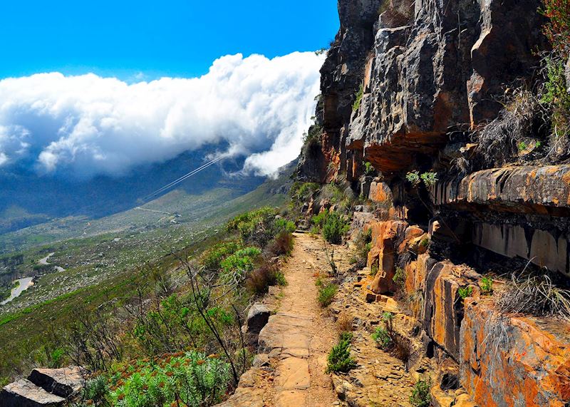 Hiking trail, Table Mountain
