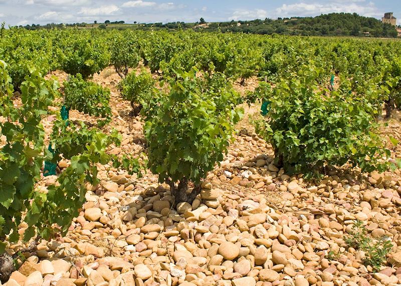 Châteauneuf-du-Pape
