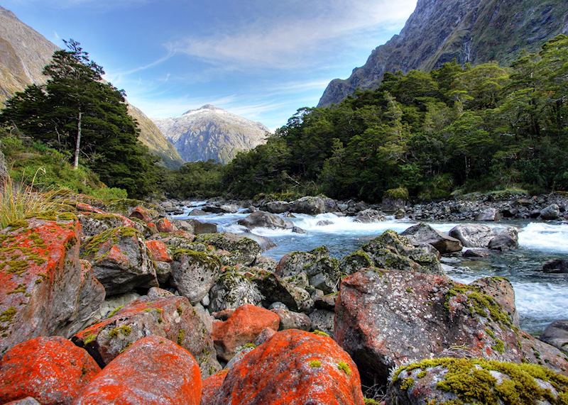 Hollyford Track