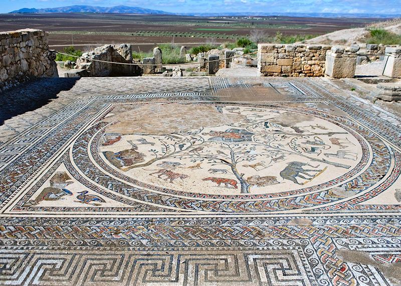 Volubilis