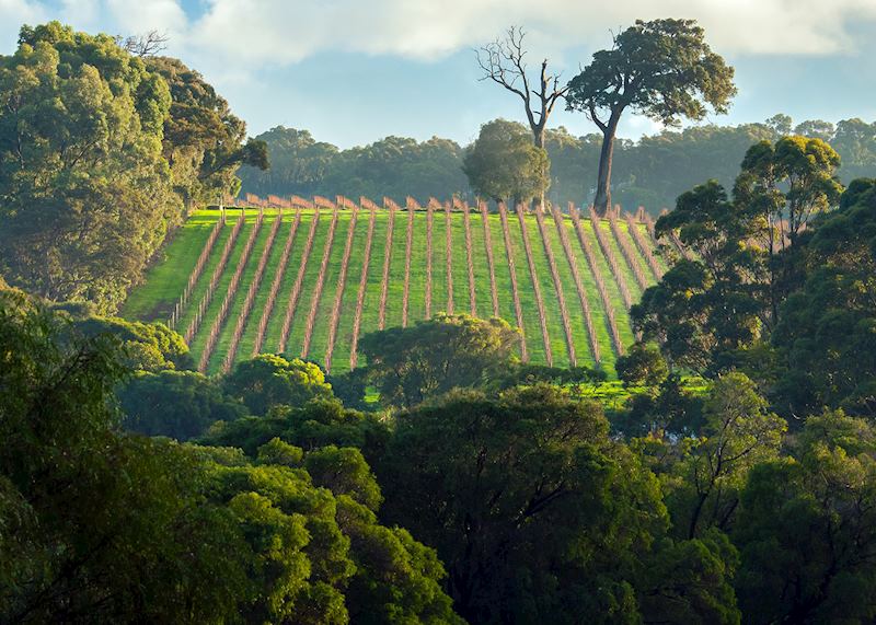 Margaret River region