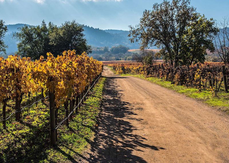 Sonoma Valley