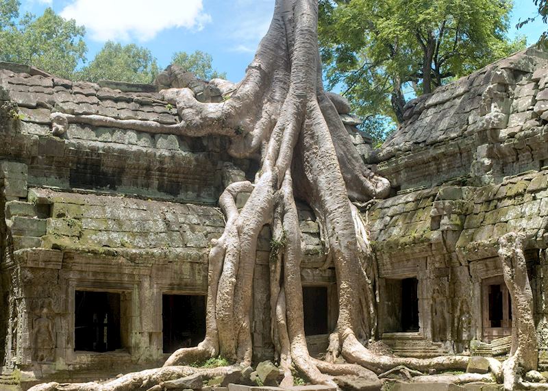 Ta Prohm, Cambodia