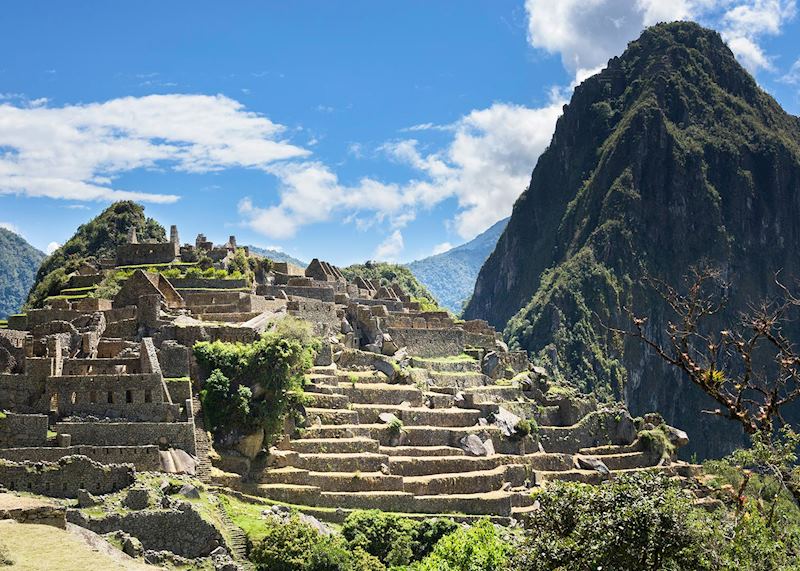 Machu Picchu