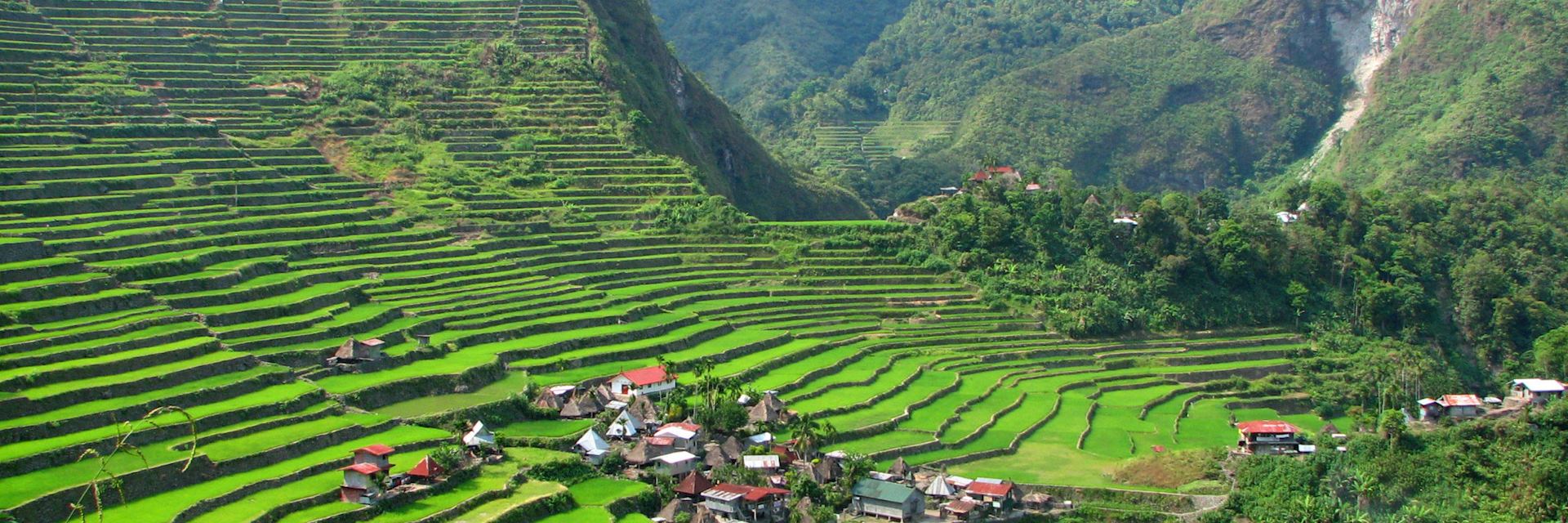 Batad rice terraces, the Philippines