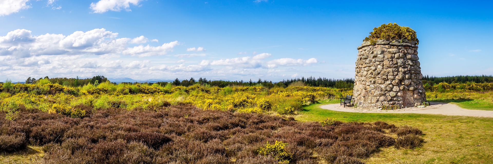 Culloden Moor