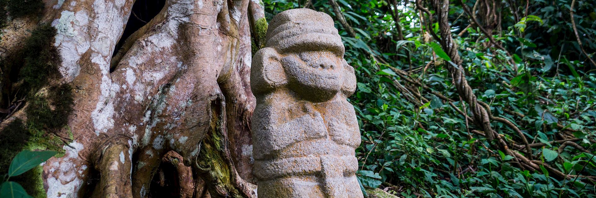 Statue in the rainforest, San Agustin