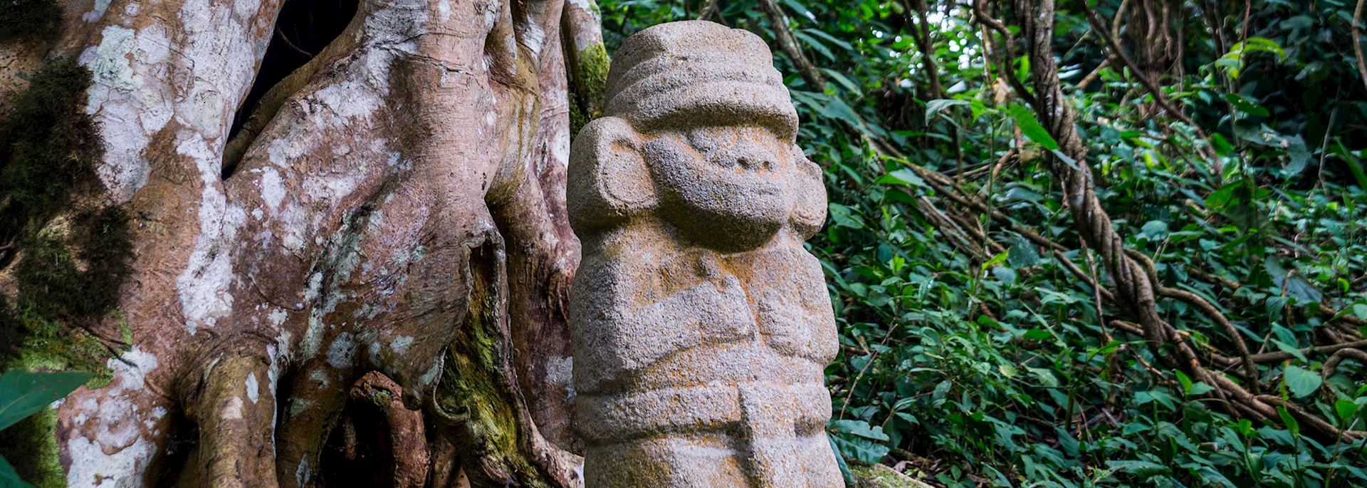 Statue in the rainforest, San Agustin