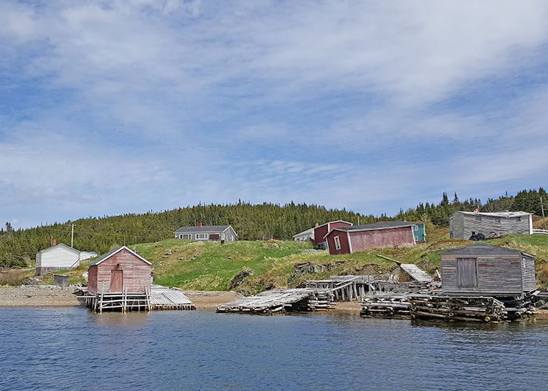 Abandoned village, Trinity Bay, Newfoundland