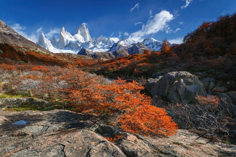 Mount Fitz Roy, Argentinian Patagonia