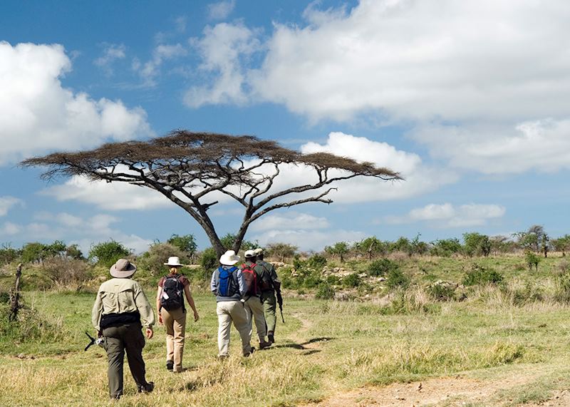 Guided safari, Tanzania